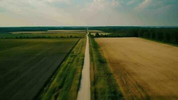 vento aerotrasportato vedere - primitivo strada nel estate. video