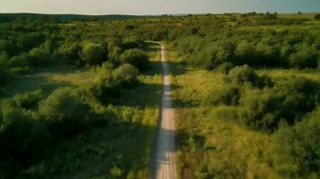 Wind airborne see - primitive street in summer. video