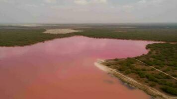 etéreo ver de rosado lago, impactante ver desde deriva. video