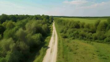 Wind airborne see - primitive street in summer. video