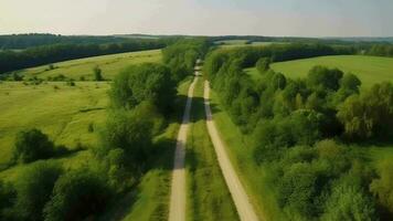 wind in de lucht zien - wreed straat in zomer. video