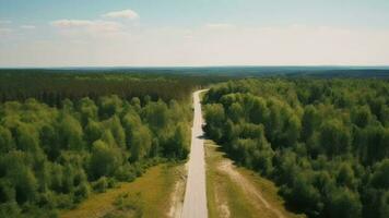 Wind airborne see - primitive road in summer. video