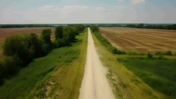 Wind airborne see - primitive road in summer. video