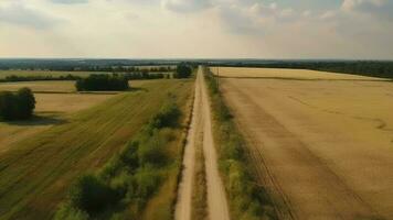 Wind in der Luft sehen - - Primitive Straße im Sommer. video