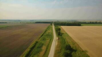 Wind airborne see - primitive street in summer. video