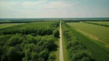 divagar aerotransportado ver - tempestuoso calle en verano. video