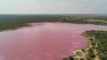 eterisk ser av rosa sjö, förbluffande ser från kust. video