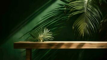 reinigen houten tafel teller met tropisch palm boom in gevlekt zonneschijn. video