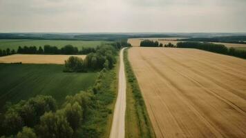 vent aéroporté voir - primitif route dans été. video