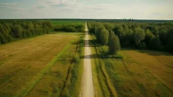 Wind airborne see - primitive road in summer. video