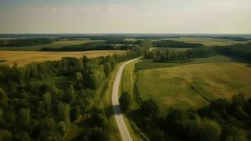 Wind airborne see - primitive road in summer. video