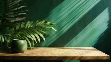 Cleanse wooden table counter with tropical palm tree in dappled daylight. video