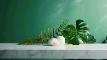 Unessential, progressed white marble stone counter table, tropical monstera plant tree in sunshine on green divider establishment for luxury progressed characteristic obliging. video