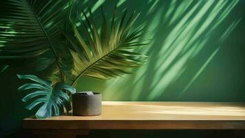Cleanse wooden table counter with tropical palm tree in dappled sunshine. video