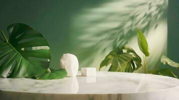 Unessential, progressed white marble stone counter table, tropical monstera plant tree in sunshine on green divider establishment for luxury progressed characteristic obliging. video