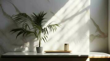 isolante bege algodão toalha de mesa em contador mesa, tropical dracaena árvore dentro brilho do sol em branco divisor estabelecimento. video