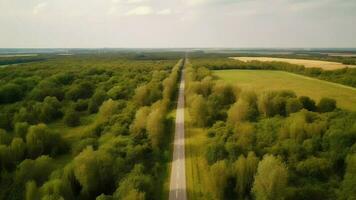 Wind airborne see - primitive road in summer. video