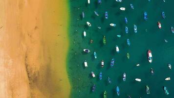 Aerial view of the golden sand of the beach Las Teresitas and colorful boats, Tenerife, Canaries, Spain video