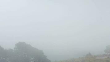 vôo acima a nuvens sobre a ilha do tenerife - uma Visão do a assentamentos e a teide vulcão. canário ilhas video