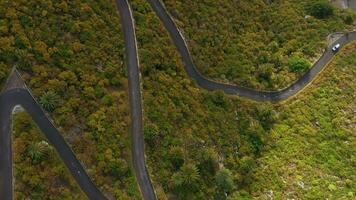 top visie van de oppervlakte van de eiland van Tenerife - auto schijven Aan een kronkelend berg weg in een woestijn dor landschap video