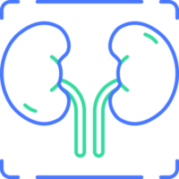 kidney line icon png