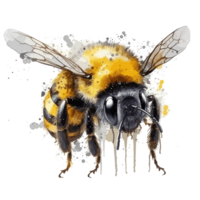 watercolor bee honeycomb honey flowers . png