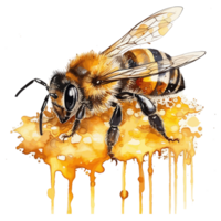 watercolor bee honeycomb honey . png