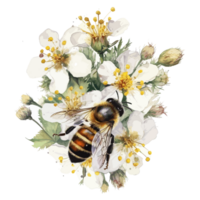 watercolor bee honeycomb honey flowers . png