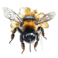 aquarelle abeille nid d'abeille mon chéri fleurs . ai généré png