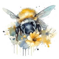 watercolor bee honeycomb honey flowers . png