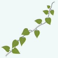 Floral ivy drawing decorative ornament flat design. vector