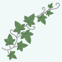 Floral ivy drawing decorative ornament flat design. vector