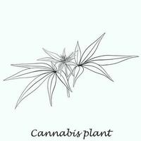 simplicidad planta de cannabis dibujo a mano alzada diseño plano. vector