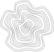 lineare di legno albero anelli modello. topografia cerchi con carta geografica struttura. circolare ondulato forma. astratto schema tronco turni png