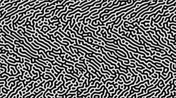 Monochrome Turing reaction background. Abstract diffusion pattern with chaotic shapes. Vector illustration.