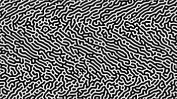 Monochrome Turing reaction background. Abstract diffusion pattern with chaotic shapes. Vector illustration.