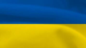 Ukrainian national flag vector