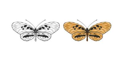 Butterflies images. Hand drawn butterfly. Pictures of funny butterflies. Vector scalable graphics