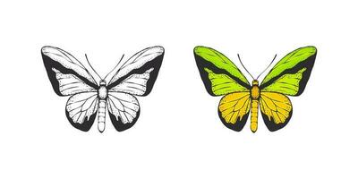 Butterflies. Hand drawn green and black butterflies. Vector scalable graphics