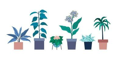 A set of flowers in pots vector