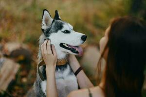 Woman and her husky dog happily playing outdoors in the park among the trees smile with teeth in the autumn walk with her pet photo