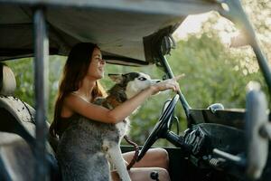 un hermosa joven mujer se sienta detrás el rueda de su coche juntos con un fornido raza perro y sonrisas alegremente disfruta el viaje foto