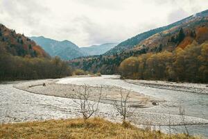 landscape river mountains autumn trees fresh air photo