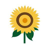 maravilloso girasol vector diseño presentando negrita amarillo pétalos y intrincado detalles, Perfecto para ninguna verano proyecto.