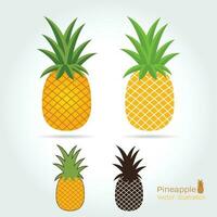 Pineapple fruit. Vector illustration