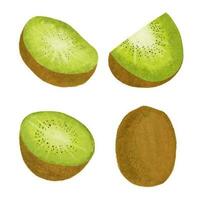 Kiwi fruit set. Hand drawn watercolor illustration isolated on white background. vector