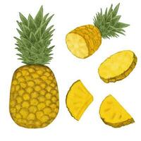 Watercolor illustration of pineapple slices and pineapples on a white background. vector