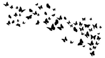 Flying black silhouettes of butterflies.Vector design element vector