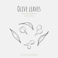 Olive leaf and fruit line art hand drawn element isolated on white background. Vector illustration