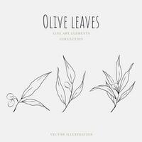 Olive leaves small line art hand drawn element isolated on white background. Vector illustration